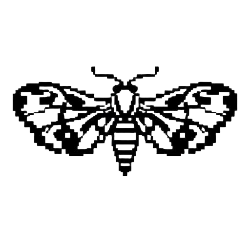 Clothes moths