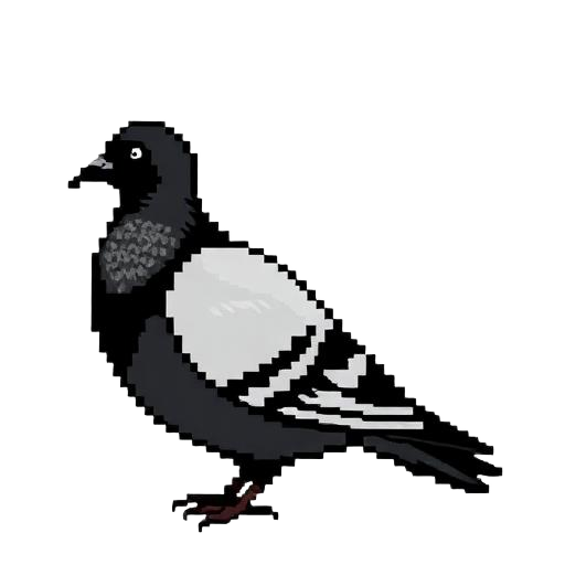 Pigeons
