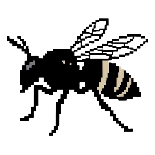 Wasps
