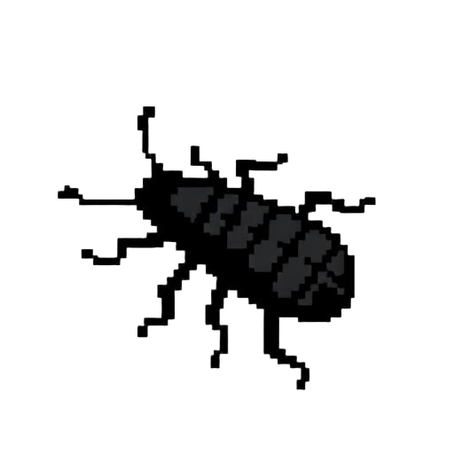 Woodworm